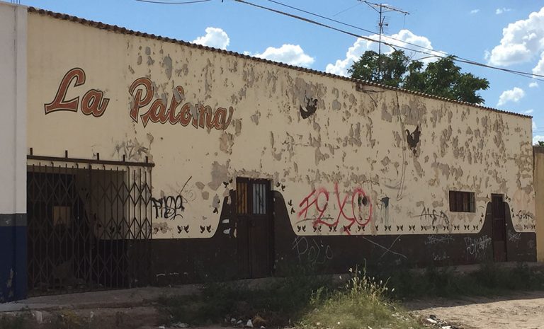 Plaoma