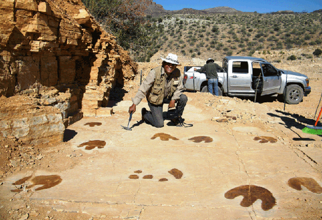 los gigantes  de la Tierra” en Sonora