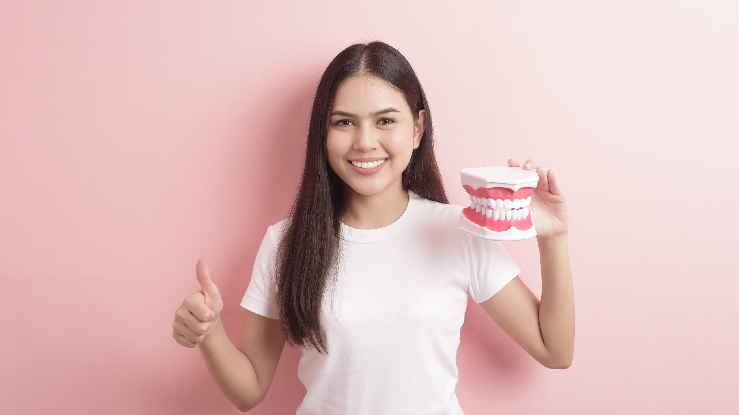 Beautiful woman is holding teeth artificial model for demonstration dental clean