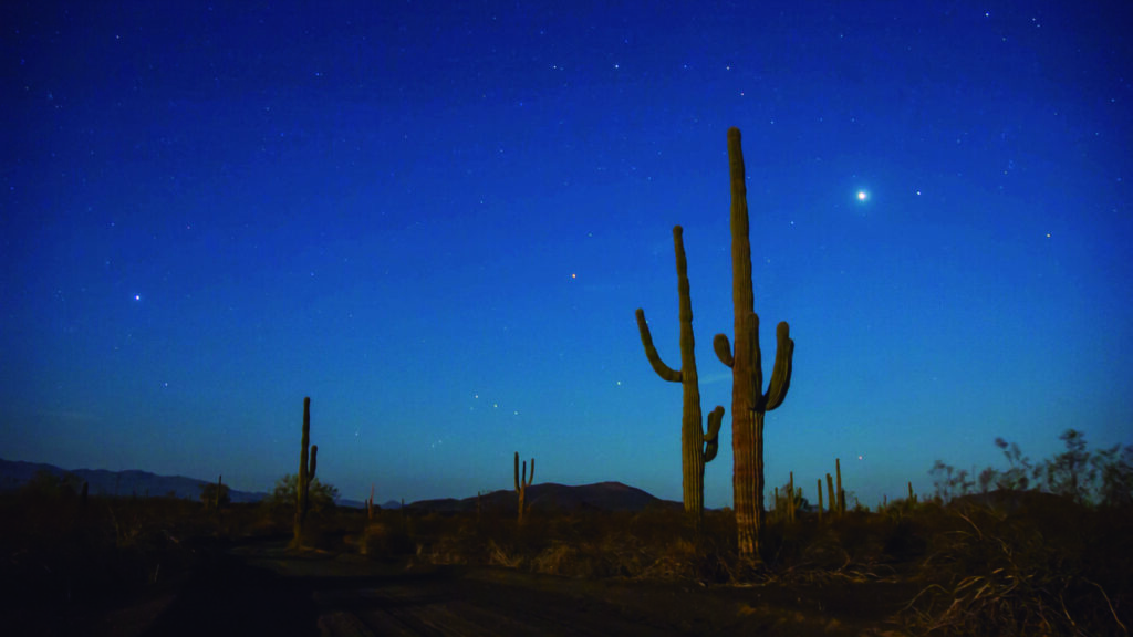 El gran desierto de Sonora